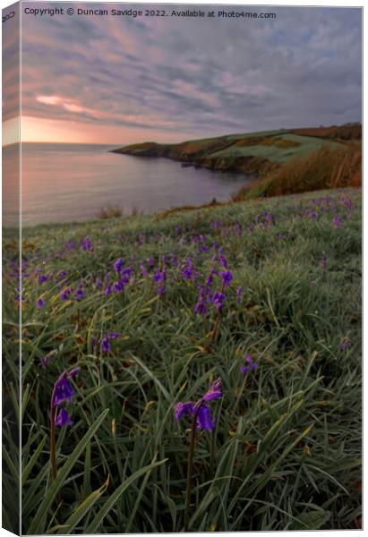 Bluebells at sunrise in Cornwall Canvas Print by Duncan Savidge