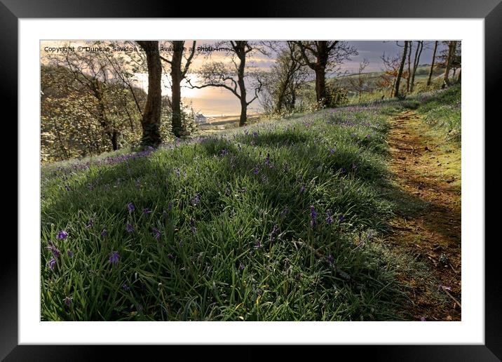 Bluebells to the sea at sunrise  Framed Mounted Print by Duncan Savidge