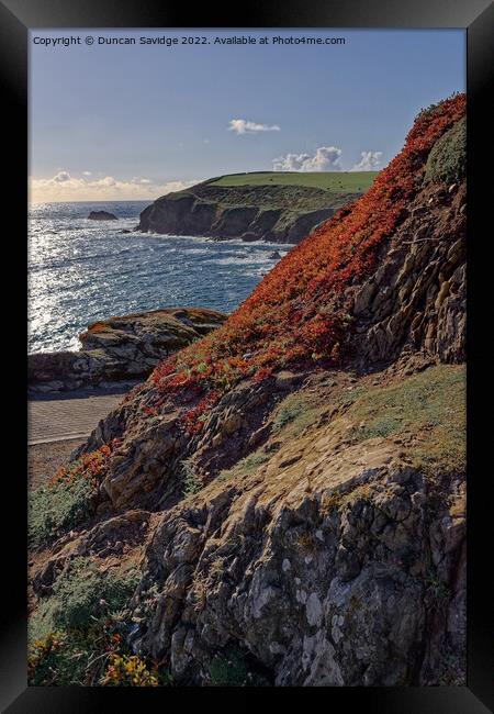 Spring flowers at the Lizard Cornwall Framed Print by Duncan Savidge