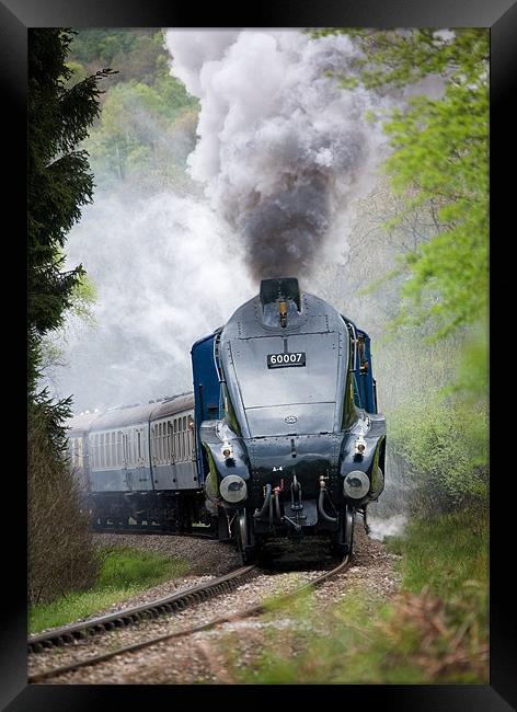 Sir Nigel Gresley Framed Print by Terry Sandoe