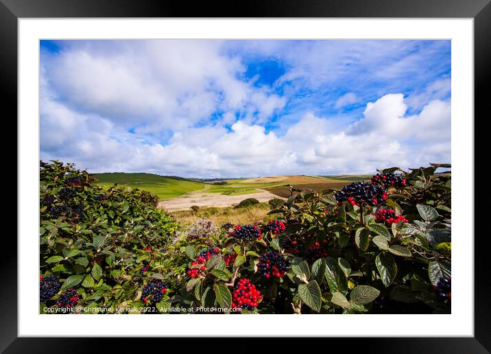 South Downs from Beachy Head Framed Mounted Print by Christine Kerioak