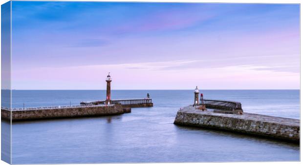 The twin piers. Canvas Print by Bill Allsopp