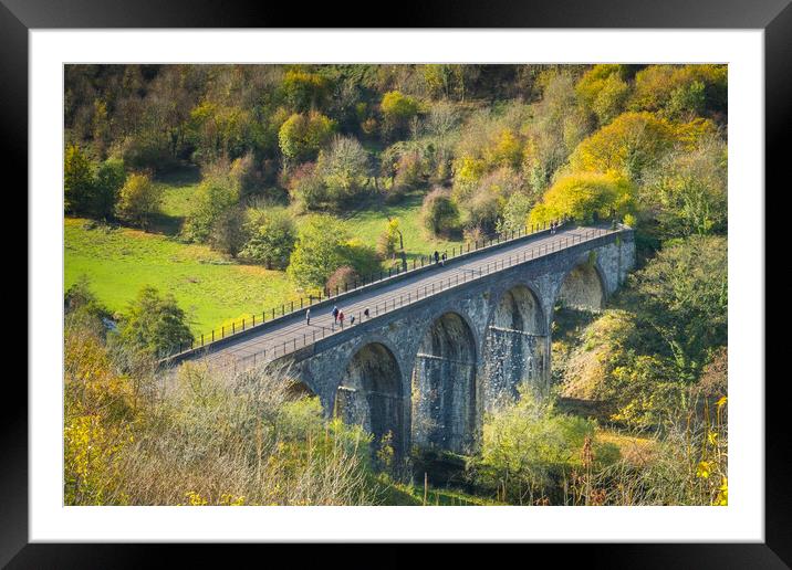 Crossing the viaduct. Framed Mounted Print by Bill Allsopp