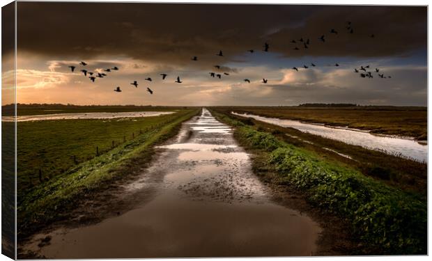 Geese over the bank. Canvas Print by Bill Allsopp