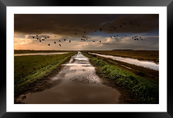 Geese over the bank. Framed Mounted Print by Bill Allsopp