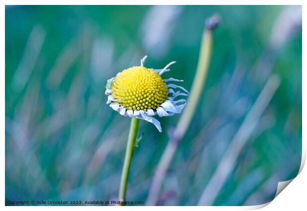 Blown Away Print by Julie Ormiston