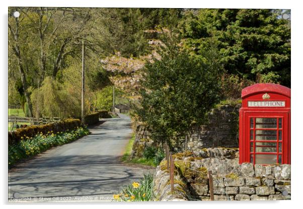 Village Retro Red Telephone Box. Acrylic by Steve Gill