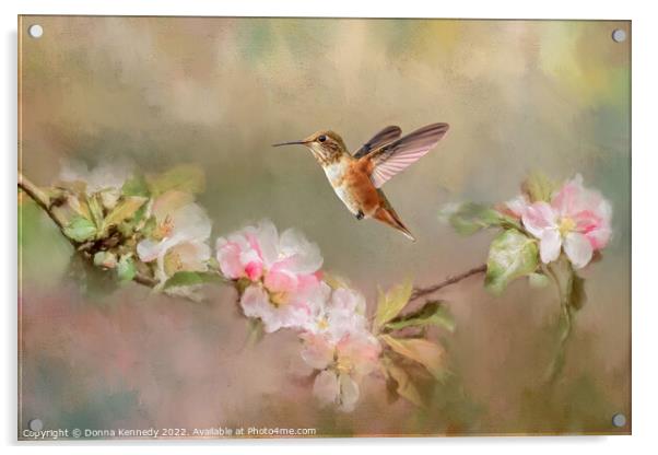 August Rufous Acrylic by Donna Kennedy