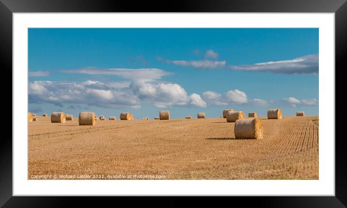 Barley Bales Framed Mounted Print by Richard Laidler