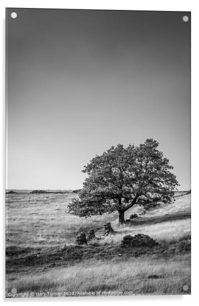 Lone Tree at Digley Acrylic by Gary Turner