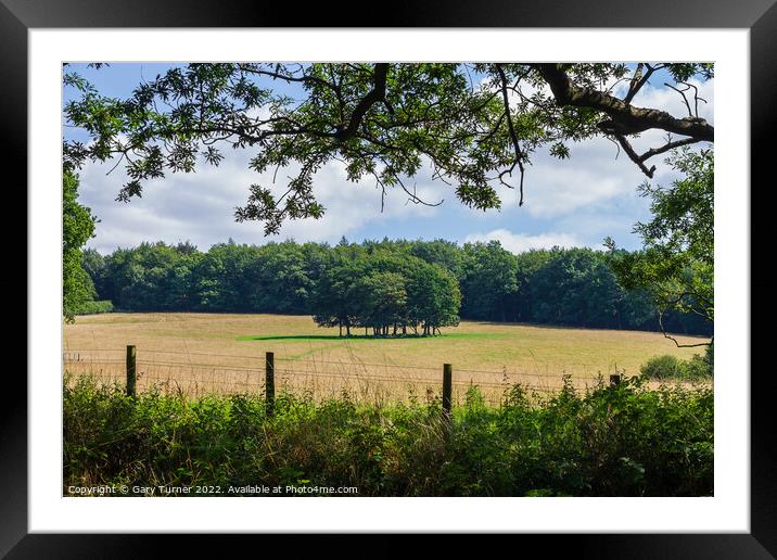 Copse of Trees Framed Mounted Print by Gary Turner