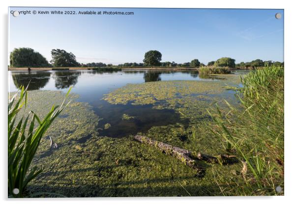 Summer ponds full of algae Acrylic by Kevin White