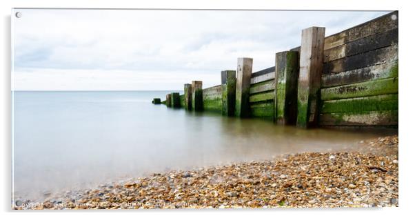 Milford Timber Groyne Acrylic by Gary Turner