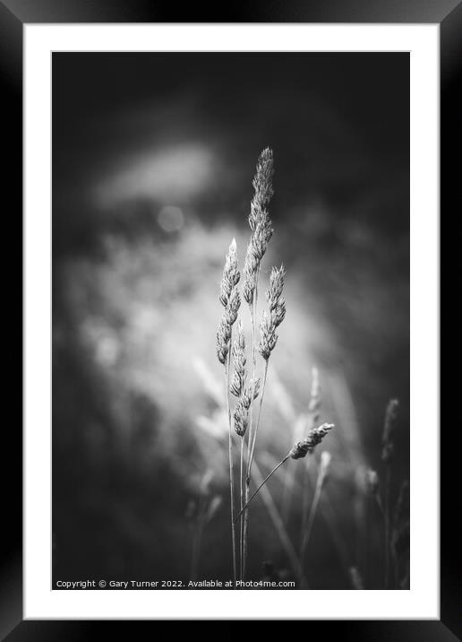 Sky cloud Framed Mounted Print by Gary Turner