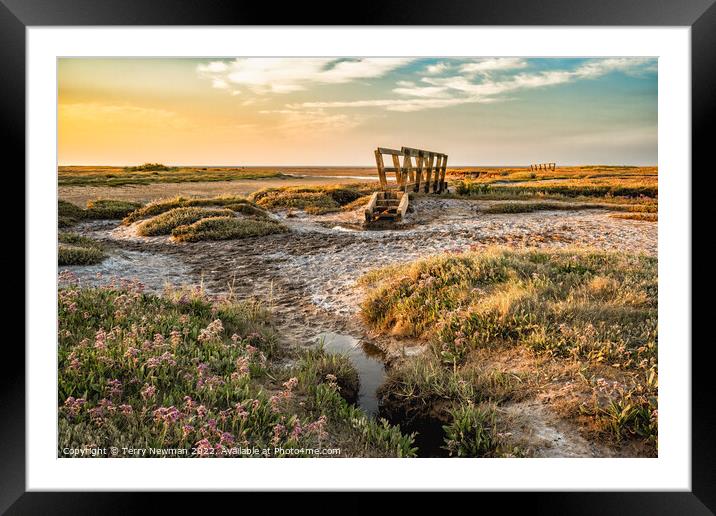 Stiffkey Saltmarshes Norfolk Framed Mounted Print by Terry Newman