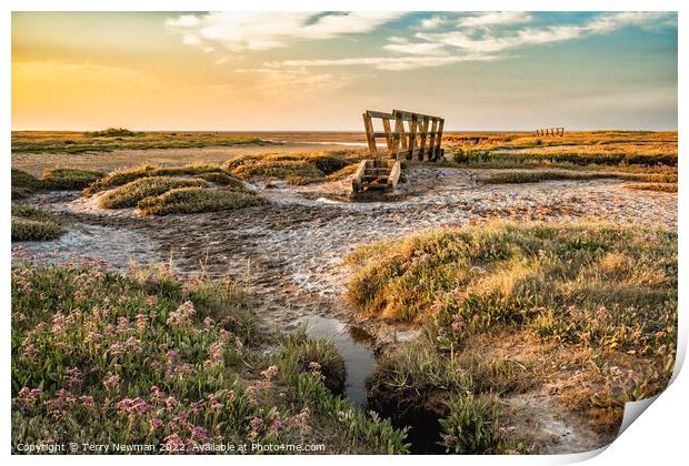 Stiffkey Saltmarshes Norfolk Print by Terry Newman