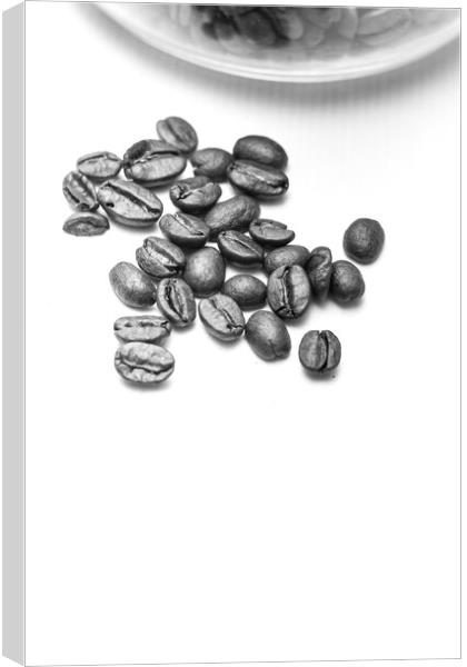 Coffee Beans Canvas Print by Gary Turner