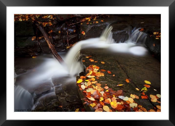 Woodland Waterfall Framed Mounted Print by Gary Turner
