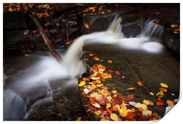 Woodland Waterfall Print by Gary Turner