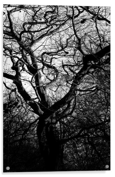 Abstract tree Acrylic by Gary Turner