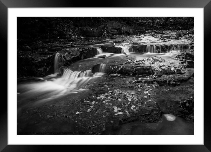 Judy Woods Waterfall Monochrome Framed Mounted Print by Gary Turner