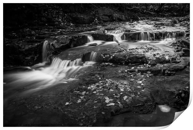 Judy Woods Waterfall Monochrome Print by Gary Turner