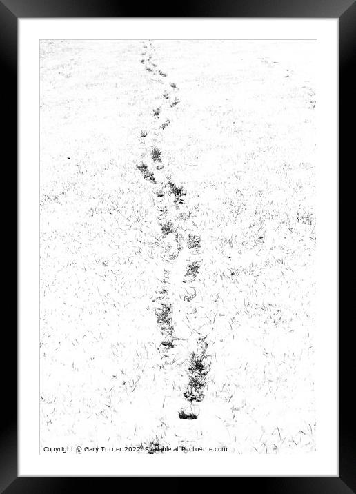 Footprints in snowy field Framed Mounted Print by Gary Turner