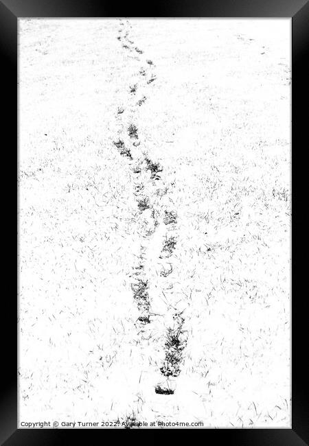 Footprints in snowy field Framed Print by Gary Turner