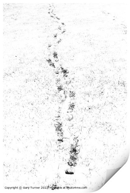 Footprints in snowy field Print by Gary Turner
