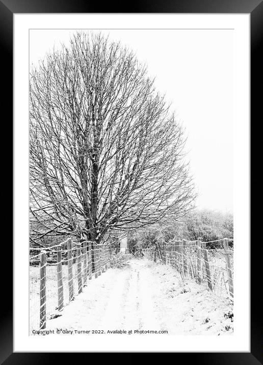 Snowy tree on snowy path Framed Mounted Print by Gary Turner
