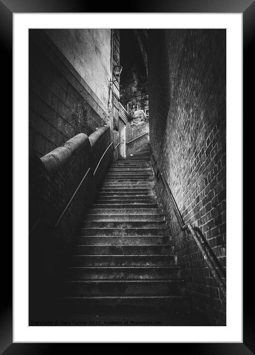 Dog Leap Stairs Framed Mounted Print by Gary Turner