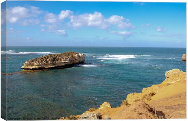 Island outcrop off Victoria, Australia Canvas Print by Sally Wallis