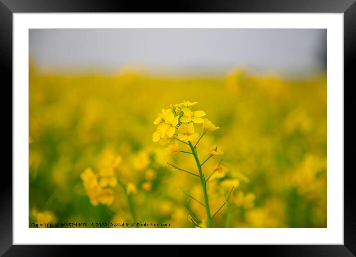 Outdoor field Framed Mounted Print by WASIM MOLLA