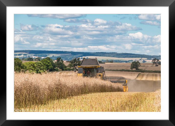 OSR Harvest at Foxberry Aug 2022 (2) Framed Mounted Print by Richard Laidler