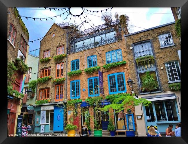 Neal's Yard, Covent Garden London Framed Print by Nathalie Hales