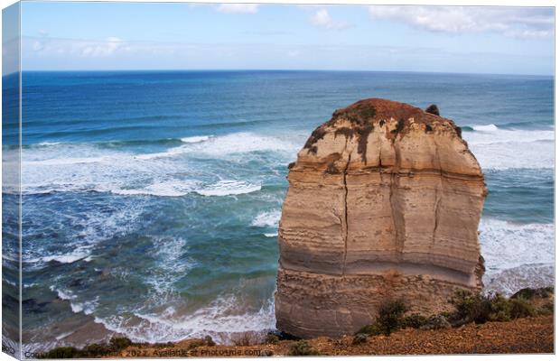 One of the 12 Apostles Canvas Print by Sally Wallis