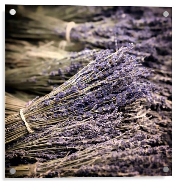 Dried Lavender Bundles Acrylic by Christopher Lawrence Mrs Lawrence
