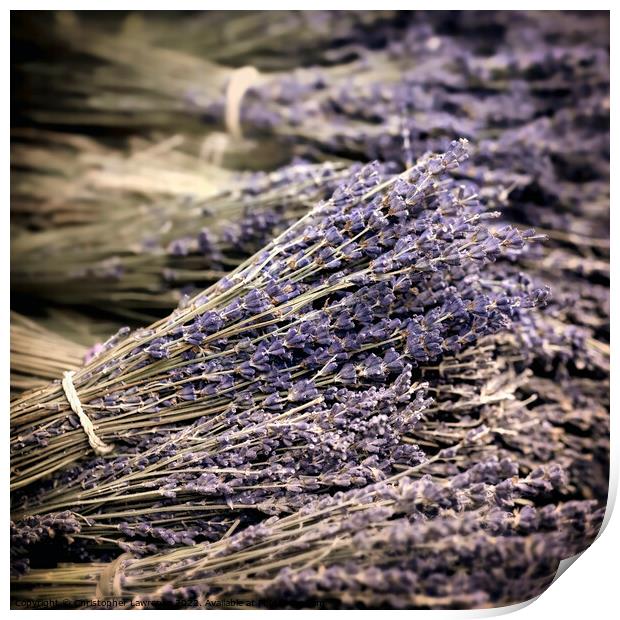Dried Lavender Bundles Print by Christopher Lawrence Mrs Lawrence