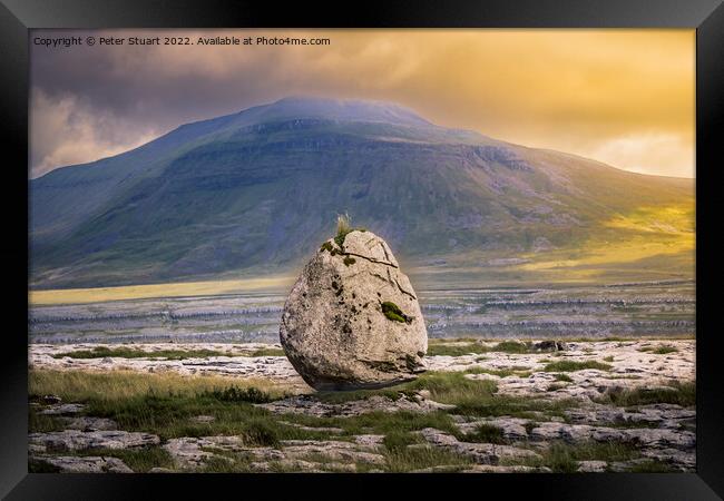 Walking along the Pennine Bridleway above Twistleton Scar betwee Framed Print by Peter Stuart