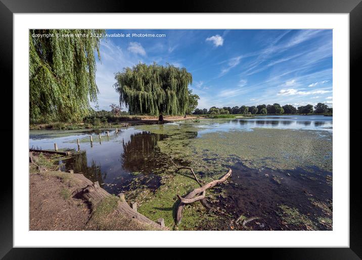 Boat and Heron pond meeting point Framed Mounted Print by Kevin White