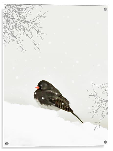 A SPARROW IN WINTER Acrylic by Tom York