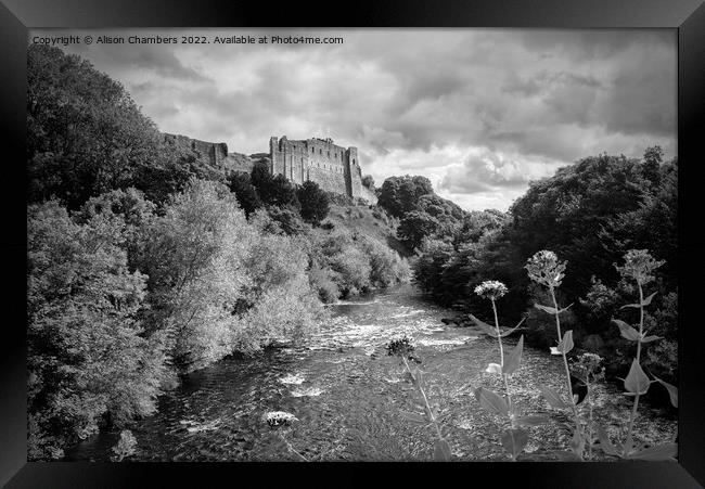 Richmond Castle Above River Swale Monochrome  Framed Print by Alison Chambers