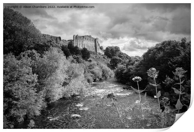Richmond Castle Above River Swale Monochrome  Print by Alison Chambers