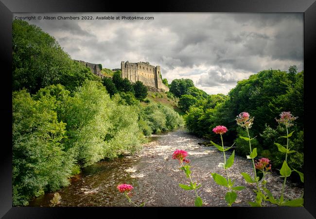 Richmond Castle Above River Swale Framed Print by Alison Chambers