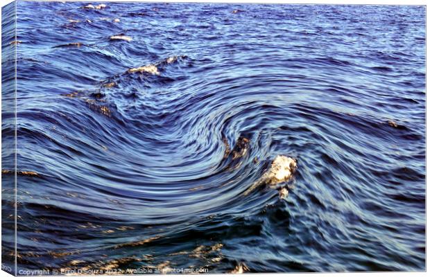 Swirly Sea Wave Canvas Print by Errol D'Souza