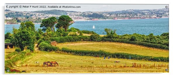 Rural Devon Looking Over Torbay Acrylic by Peter F Hunt