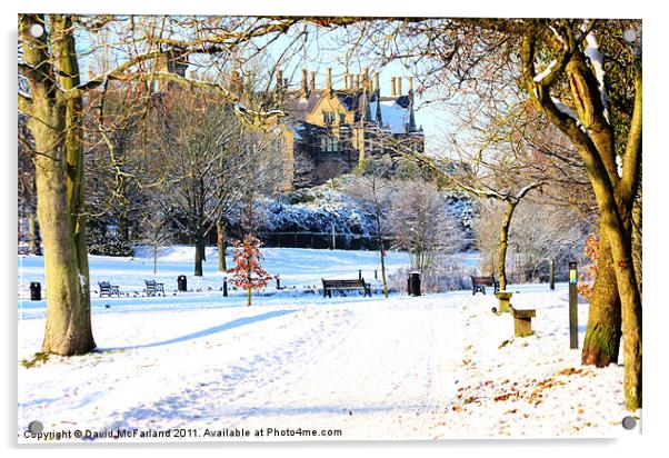 Wintery Lurgan Park Acrylic by David McFarland