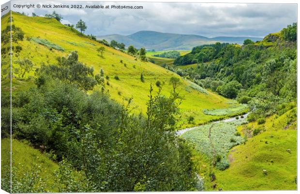 Looking along Smardale from Smardale Viaduct Canvas Print by Nick Jenkins