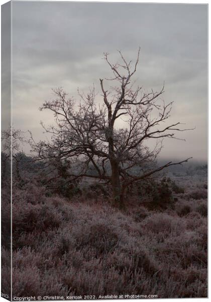 Heather and Tree in Early Morning Mist Canvas Print by Christine Kerioak