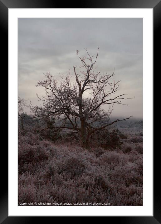 Heather and Tree in Early Morning Mist Framed Mounted Print by Christine Kerioak